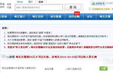 抢注域名,抢注域名热潮下的商机与挑战解析