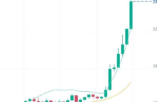 比特币价格走势行情,揭秘市场动态与未来趋势