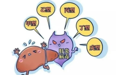 乙肝是什么病,揭秘病毒性肝炎的流行、传播与防治