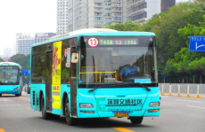 深圳 公交,织密城市出行网络，提升市民出行体验