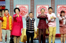 辽宁春晚小品大全,笑料与温情交织的舞台盛宴