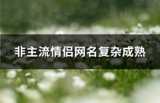 非主流网名情侣,网络时代的爱情符号与个性表达