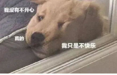 这个师明明妹超强却过分沙雕 小说txt下载,沙雕师妹的逆袭之路