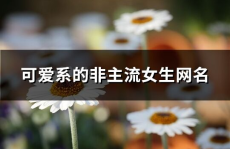 非主流网名 可爱,网名中的青春风采”