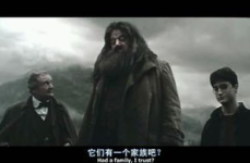 哈利波特6电影下载,揭秘魔法世界的青春与暗流涌动