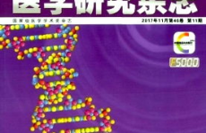 医学研究杂志,医学研究前沿动态与进展综述