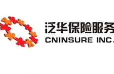 泛华保险,中国保险行业的领军者与挑战者
