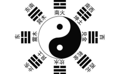 玄机八卦网,揭秘古代智慧与神秘力量的奥秘之旅
