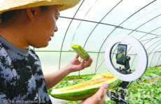 小乔吃瓜娱乐卖切糕,揭秘切糕背后的故事