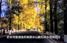 娱乐吃瓜君的作品