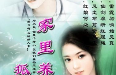 小说家里养个狐狸精,一段奇妙的修真传奇