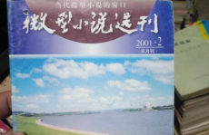 微型小说选刊在线阅读,捕捉生活瞬间，品味文字魅力