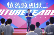 精英教育,探索精英教育的内涵与挑战
