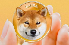 柴犬币今日行情价格,今日行情解读与市场动态洞察