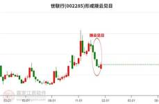 002285股票,002285股票市场动态与投资分析