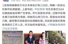 娱乐圈吃瓜读心小说,瓜田读心术，揭秘明星背后的秘密