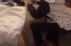 娱乐圈吃瓜有图有真相,吃瓜有图有真相，揭秘明星幕后故事