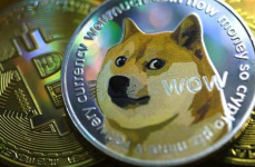 狗狗币的最新消息,马斯克支持与特朗普宣布新职务助力上涨