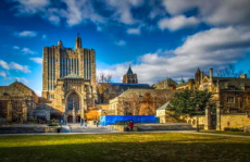 娱乐吃瓜酱耶鲁大学,揭秘校园生活趣味瞬间